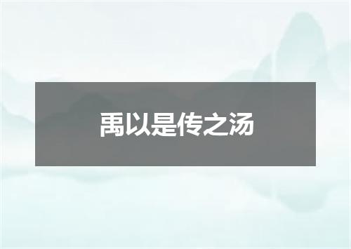 禹以是传之汤