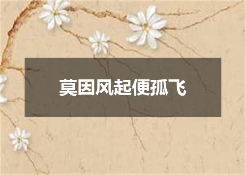 莫因风起便孤飞