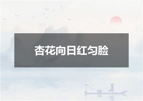 杏花向日红匀脸
