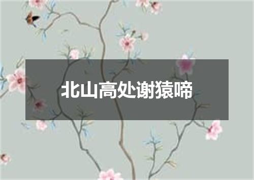 北山高处谢猿啼