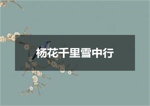 杨花千里雪中行