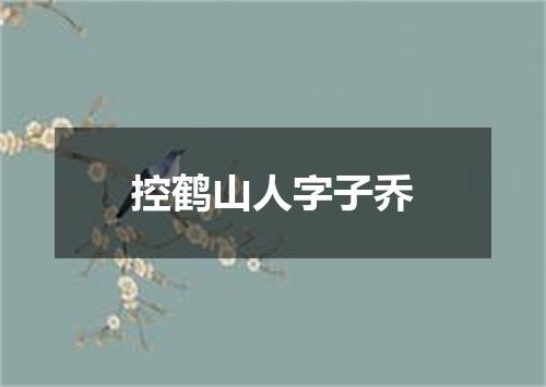 控鹤山人字子乔