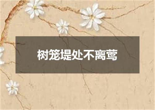 树笼堤处不离莺