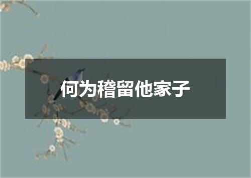何为稽留他家子