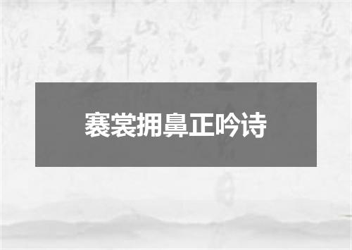 褰裳拥鼻正吟诗