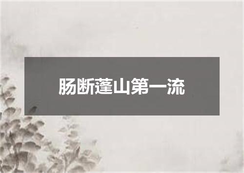 肠断蓬山第一流
