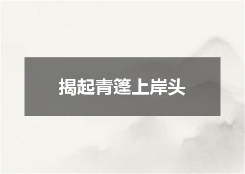 揭起青篷上岸头