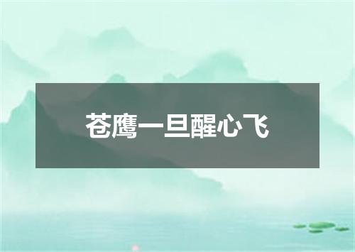 苍鹰一旦醒心飞