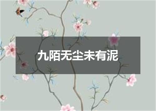 九陌无尘未有泥