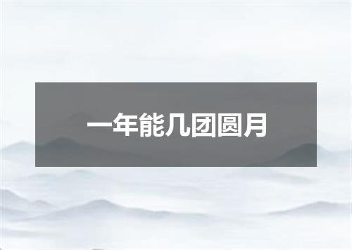 一年能几团圆月