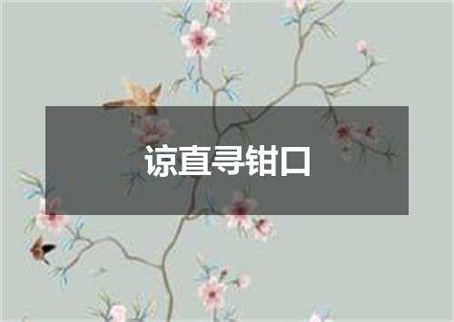 谅直寻钳口