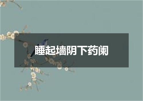 睡起墙阴下药阑
