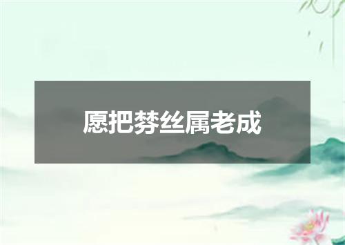 愿把棼丝属老成