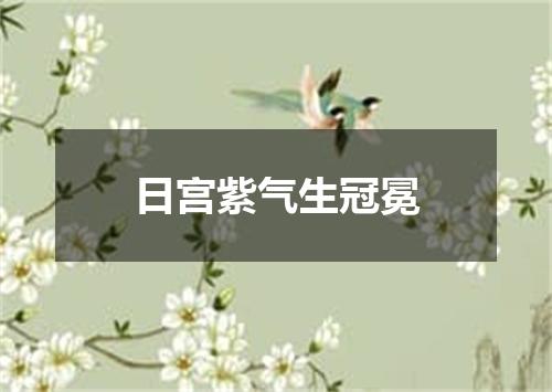 日宫紫气生冠冕