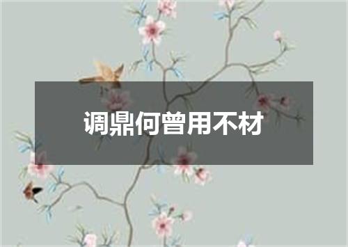 调鼎何曾用不材