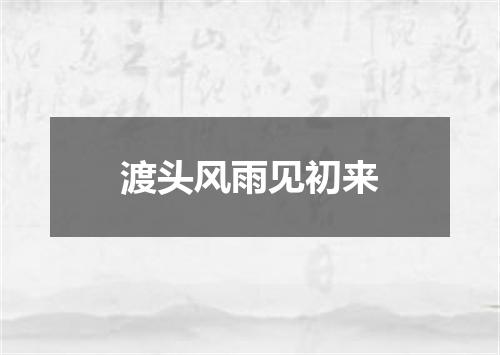 渡头风雨见初来