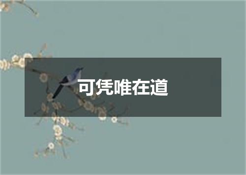 可凭唯在道
