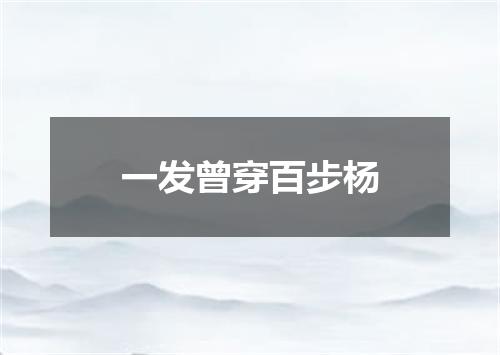 一发曾穿百步杨