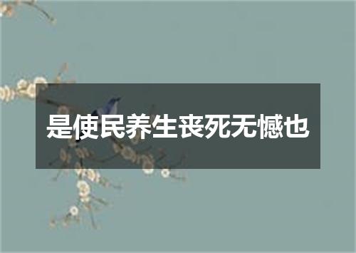 是使民养生丧死无憾也