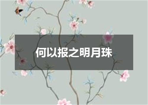 何以报之明月珠