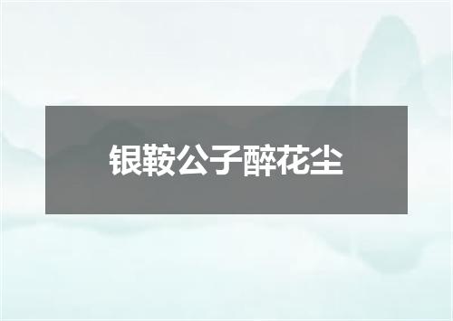 银鞍公子醉花尘