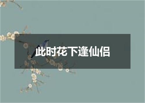 此时花下逢仙侣
