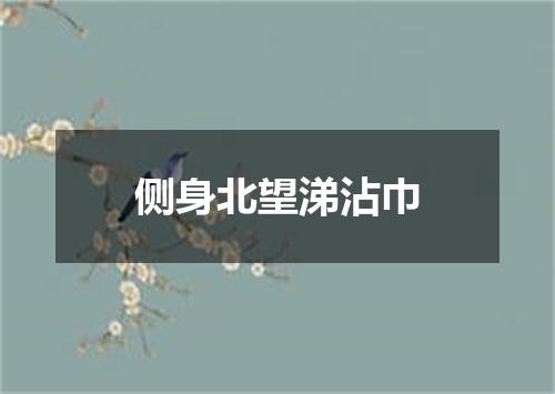 侧身北望涕沾巾