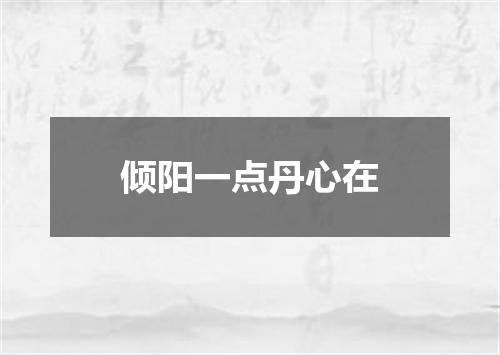 倾阳一点丹心在