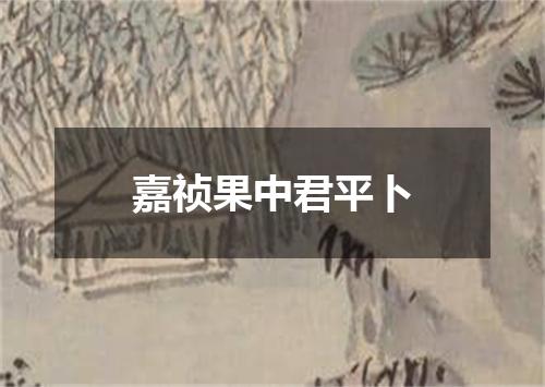 嘉祯果中君平卜