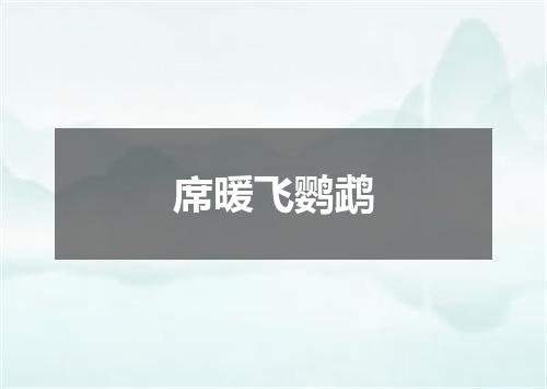 席暖飞鹦鹉