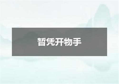 暂凭开物手