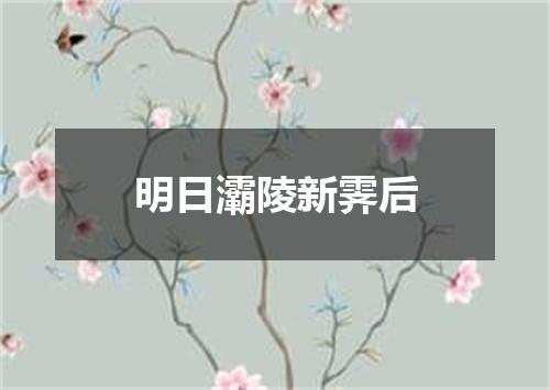 明日灞陵新霁后