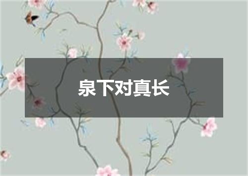 泉下对真长