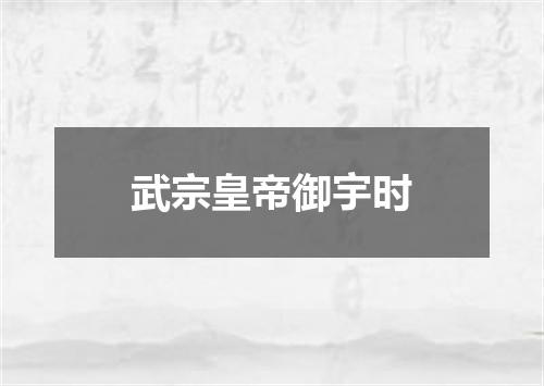 武宗皇帝御宇时