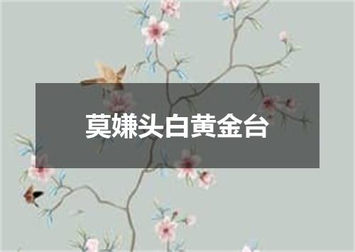 莫嫌头白黄金台