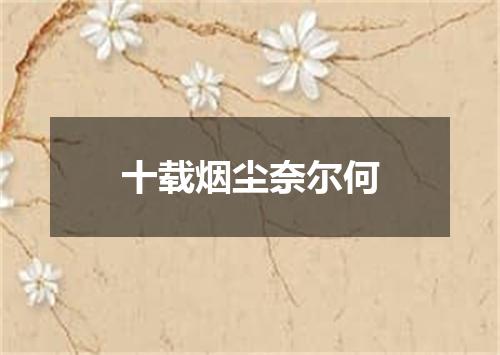 十载烟尘奈尔何