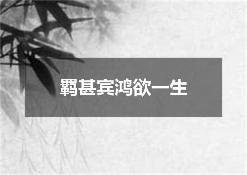 羁甚宾鸿欲一生
