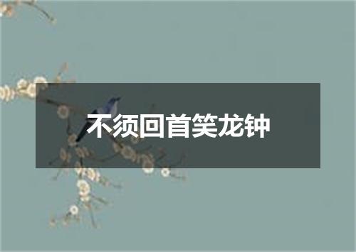 不须回首笑龙钟