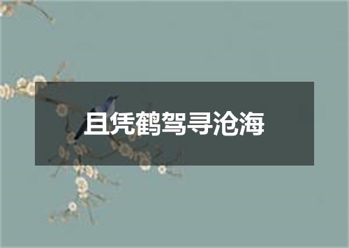 且凭鹤驾寻沧海