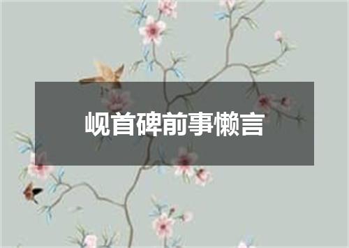 岘首碑前事懒言