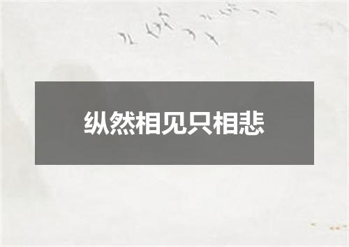 纵然相见只相悲