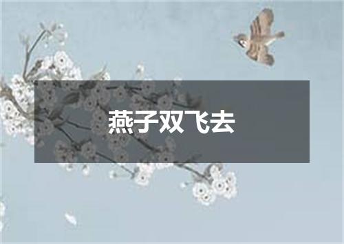 燕子双飞去