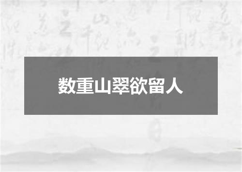 数重山翠欲留人
