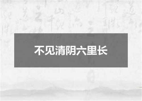 不见清阴六里长