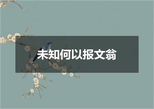 未知何以报文翁