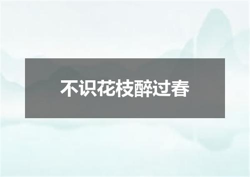 不识花枝醉过春