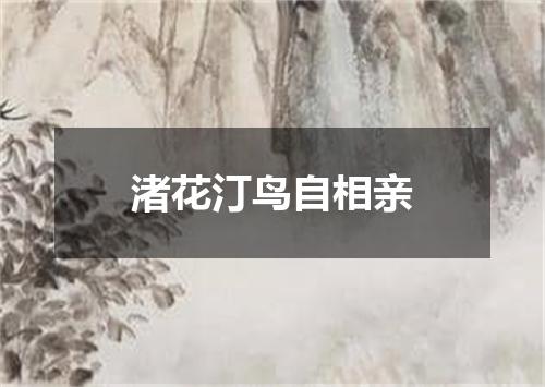 渚花汀鸟自相亲