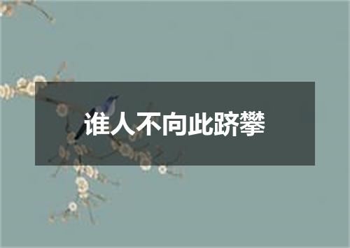 谁人不向此跻攀