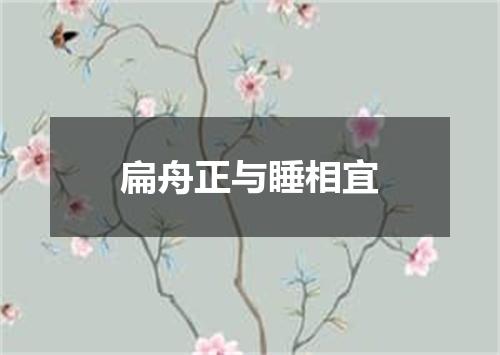 扁舟正与睡相宜