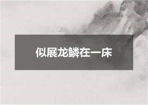 似展龙鳞在一床